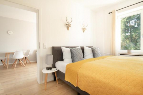 Löwe Apartment Gelb Tiengen Altstadt